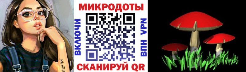 Галлюциногенные грибы Cubensis  Черемхово 
