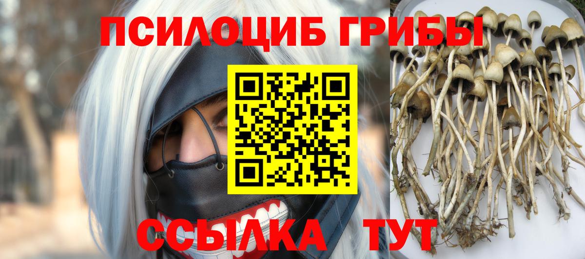 Псилоцибиновые грибы GOLDEN TEACHER  Галлюциногенные грибы Magic Shrooms  Вход с VPN  Черемхово 
