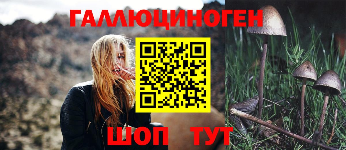 Псилоцибиновые грибы прущие грибы Черемхово
